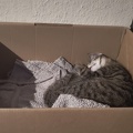 IMG 20240814 215126