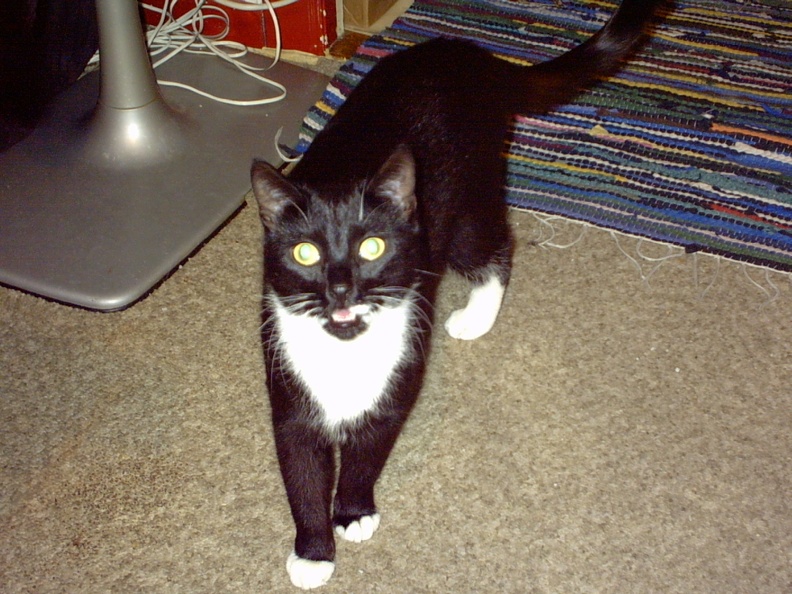 IMG00007.JPG