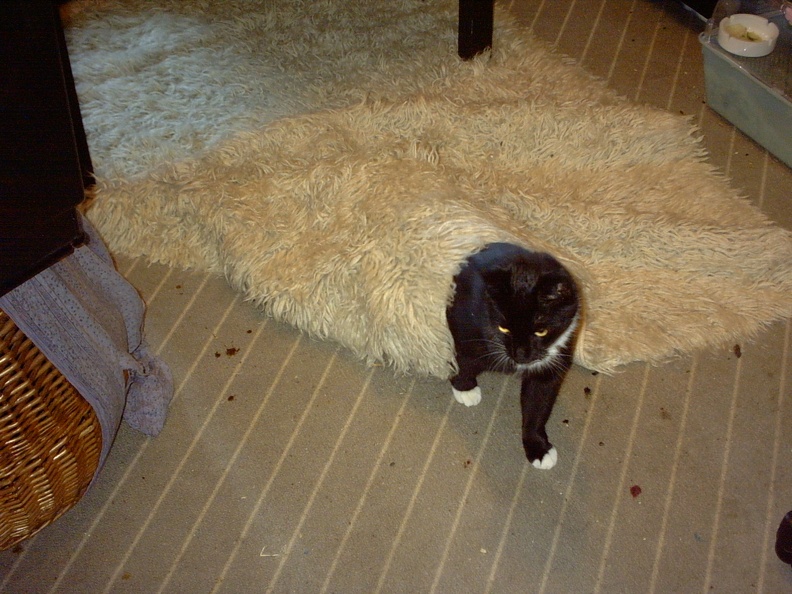 IMG00031.JPG