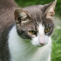 IMG 7193