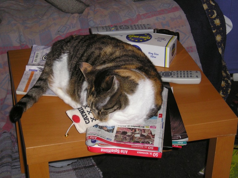 P1010019.JPG