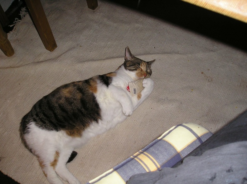 P1010023.JPG