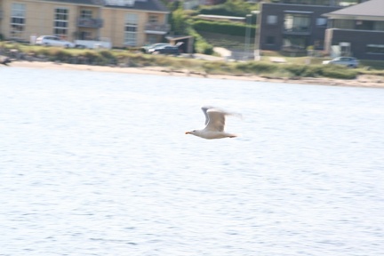 Dänemark2013-0706