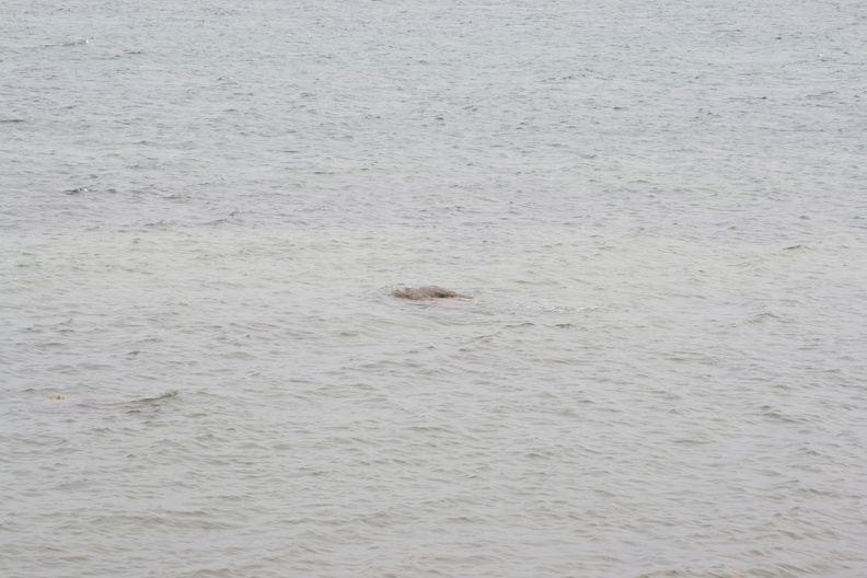 Dänemark2013-1136.JPG