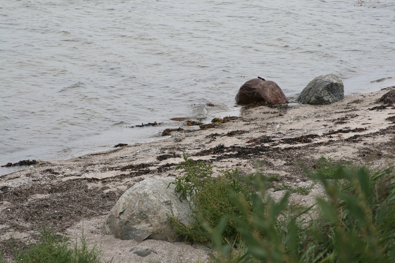 Dänemark2013-1140.JPG