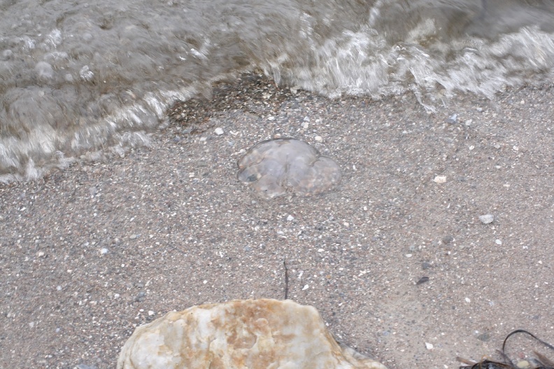 Dänemark2013-1148.JPG