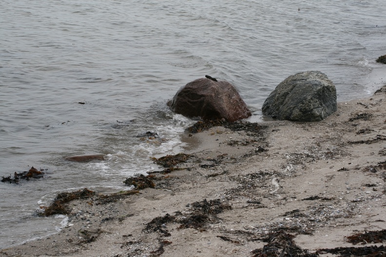 Dänemark2013-1157.JPG