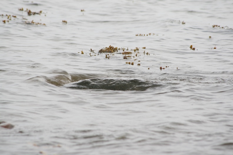Dänemark2013-1159.JPG