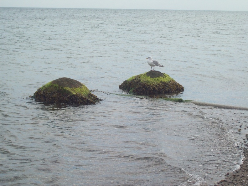 Dänemark2013-1194.JPG
