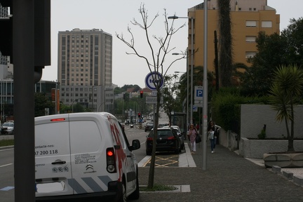 IMG 7166