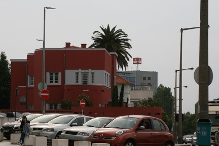 IMG 7169