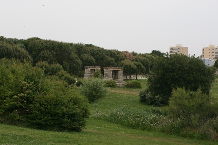 IMG 7178