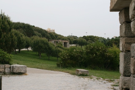IMG 7182