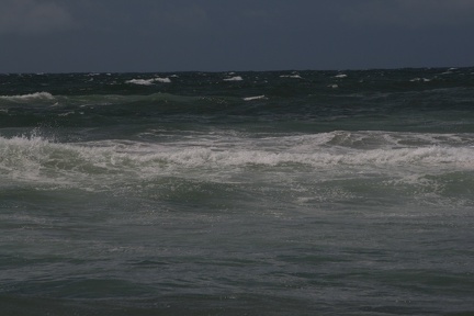 IMG 7393