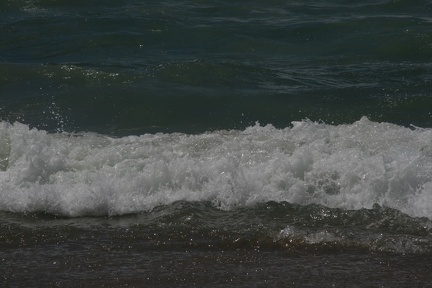 IMG 7395