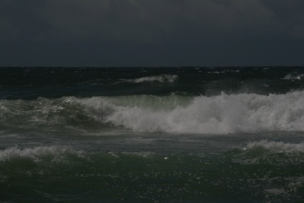 IMG 7397