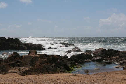 IMG 7411