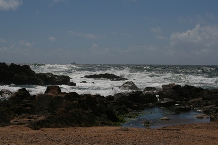 IMG 7414