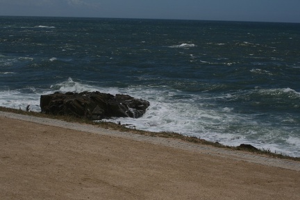 IMG 7418