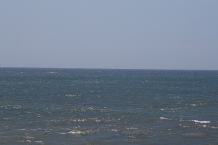 IMG 7423