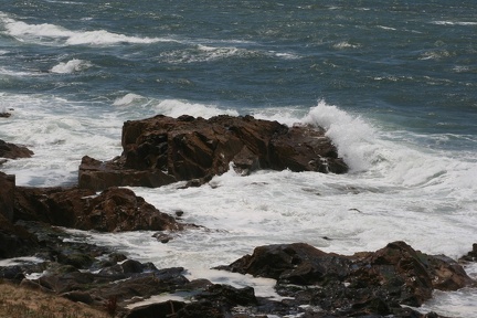 IMG 7426