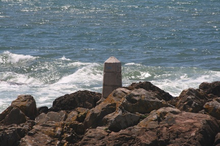 IMG 7442