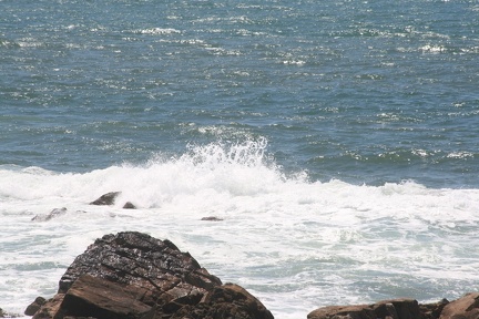 IMG 7444