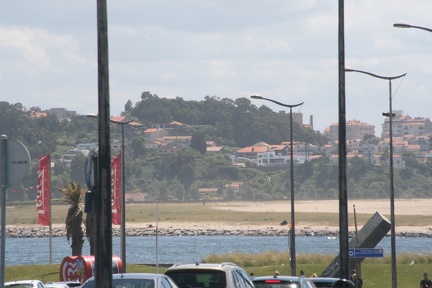 IMG 7451