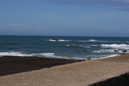 IMG 7458