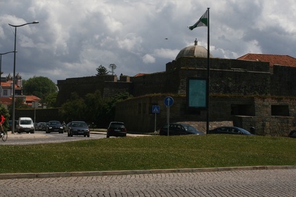IMG 7461