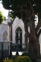 IMG 7479