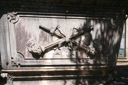 IMG 7497