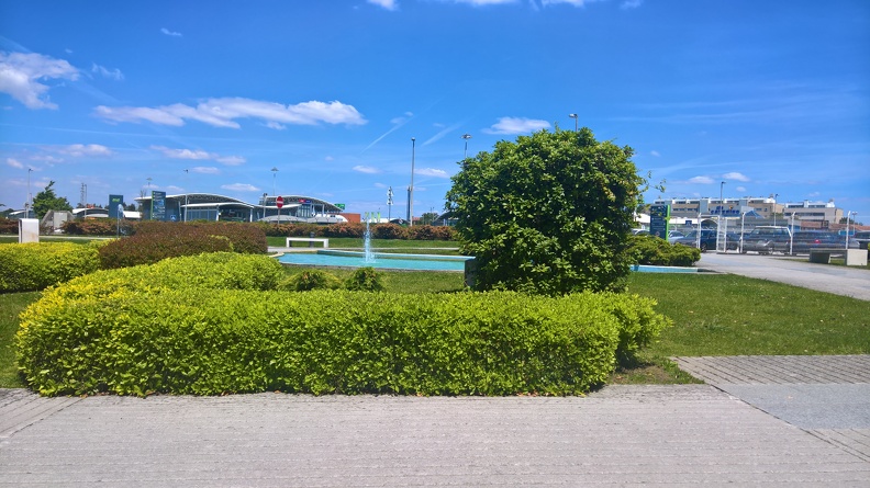 WP_20170507_13_45_20_Rich.jpg