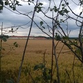 WP 20140705 21 08 59 Pro