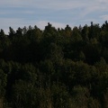 IMG 4373