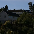 IMG 4381
