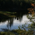 IMG 4385