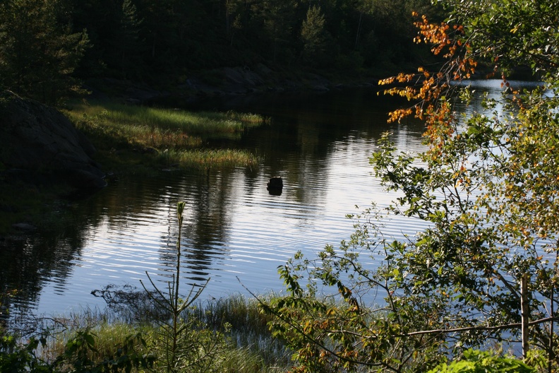 IMG_4386.JPG