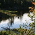 IMG 4387