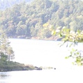 IMG 4396
