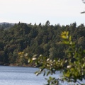 IMG 4398