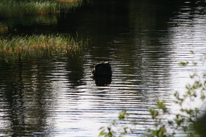 IMG_4402.JPG