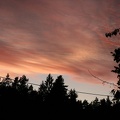 IMG 4421