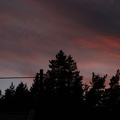 IMG 4422