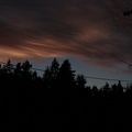 IMG 4424