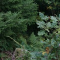 IMG 4431
