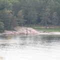 IMG 4433