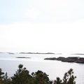 IMG 4438