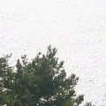 IMG 4452