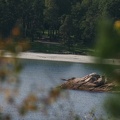 IMG 4455